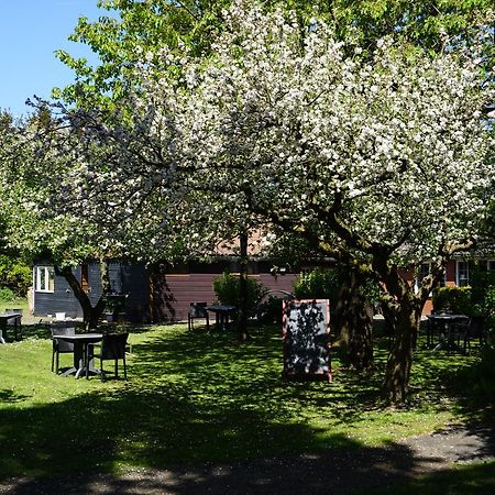 Lucy'S Inn Eesergroen Eksteriør billede