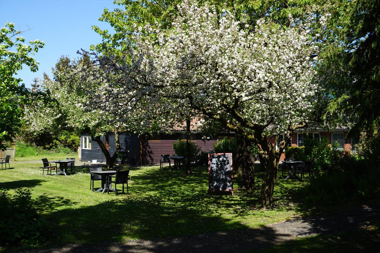 Lucy'S Inn Eesergroen Eksteriør billede